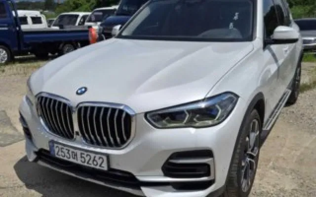 스타렉스벤 중고차 X5 (G05) xDrive 30d xLine 매물 사진 13 - 2022/10 116,104km